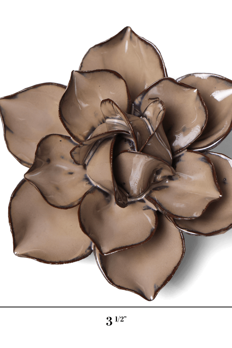 JA18 Latte Daffodil - Chive US Wholesale