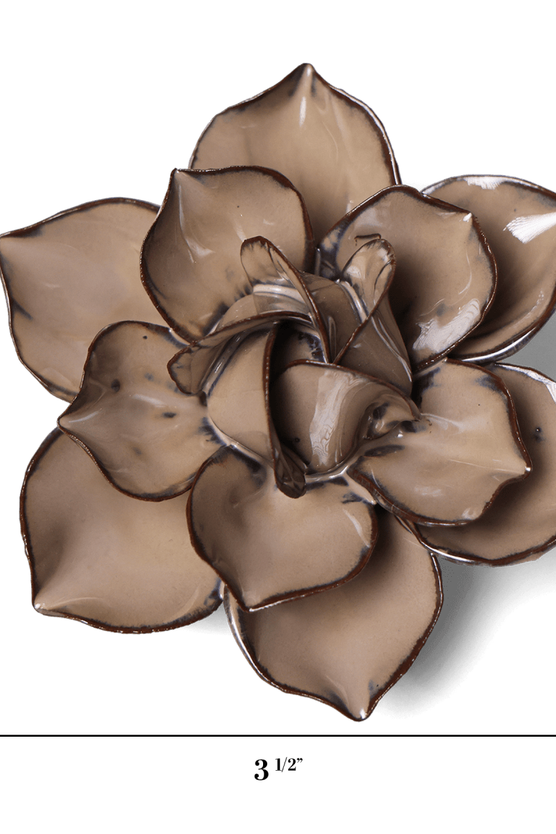 JA18 Latte Daffodil - Chive US Wholesale