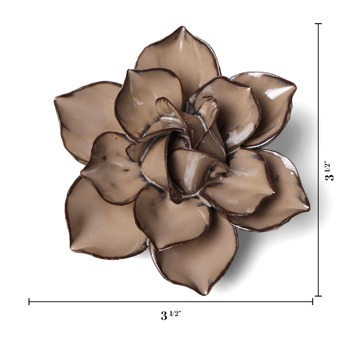 JA18 Latte Daffodil - Chive US Wholesale