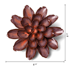 JA19 Peach Mocha Cornflower - Chive US Wholesale