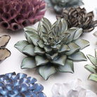 JA01 Grey Goyet Azalea - Chive US Wholesale