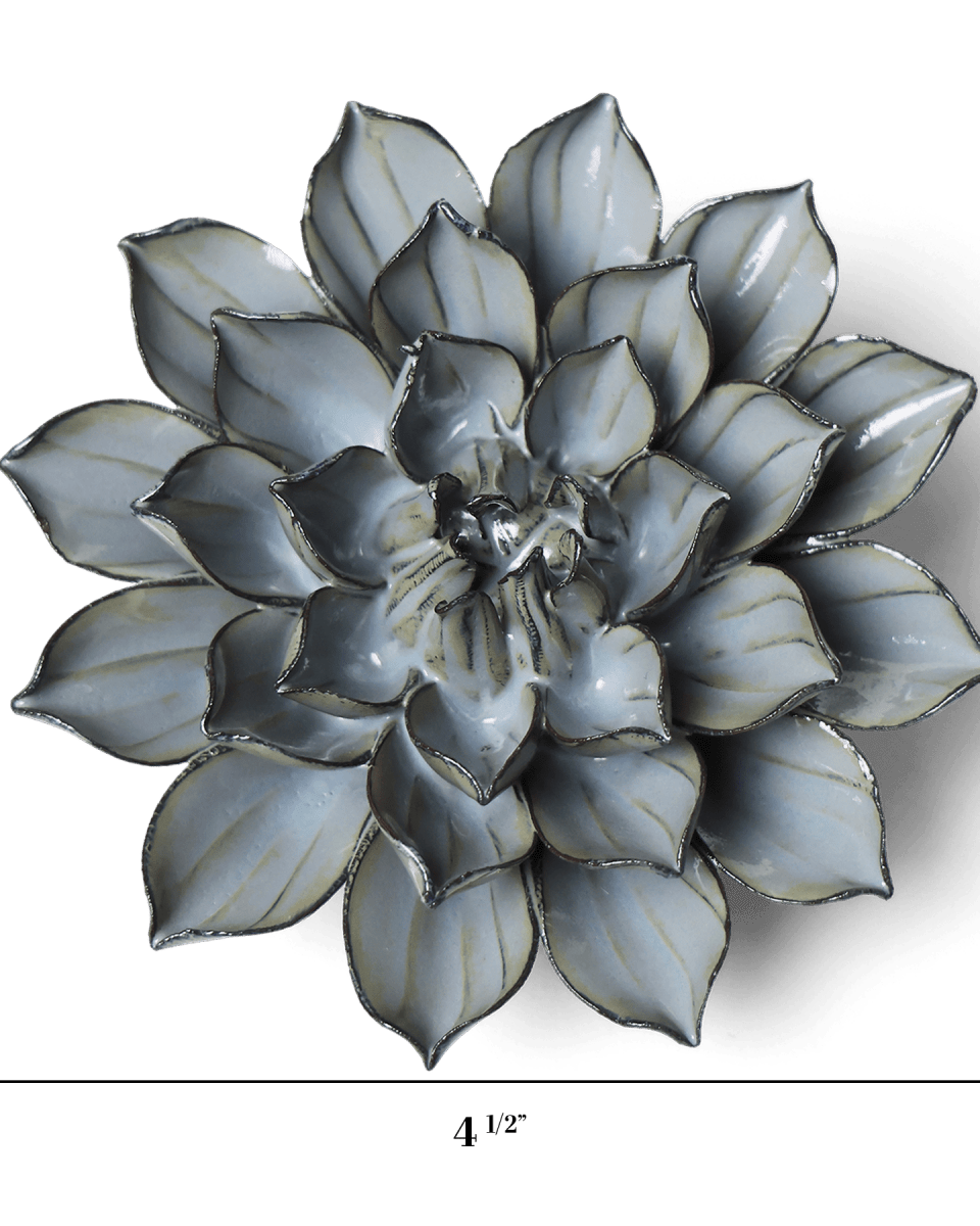 JA03 Grey Green Monch Aster - Chive US Wholesale