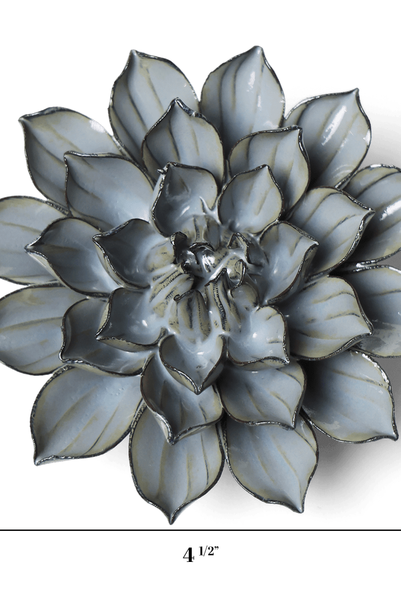 JA03 Grey Green Monch Aster - Chive US Wholesale