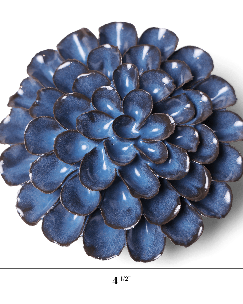 JA04 Blue Noir Pompon Dahlia - Chive US Wholesale