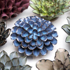 JA04 Blue Noir Pompon Dahlia - Chive US Wholesale
