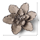 JA05 Latte Empress Lotus - Chive US Wholesale