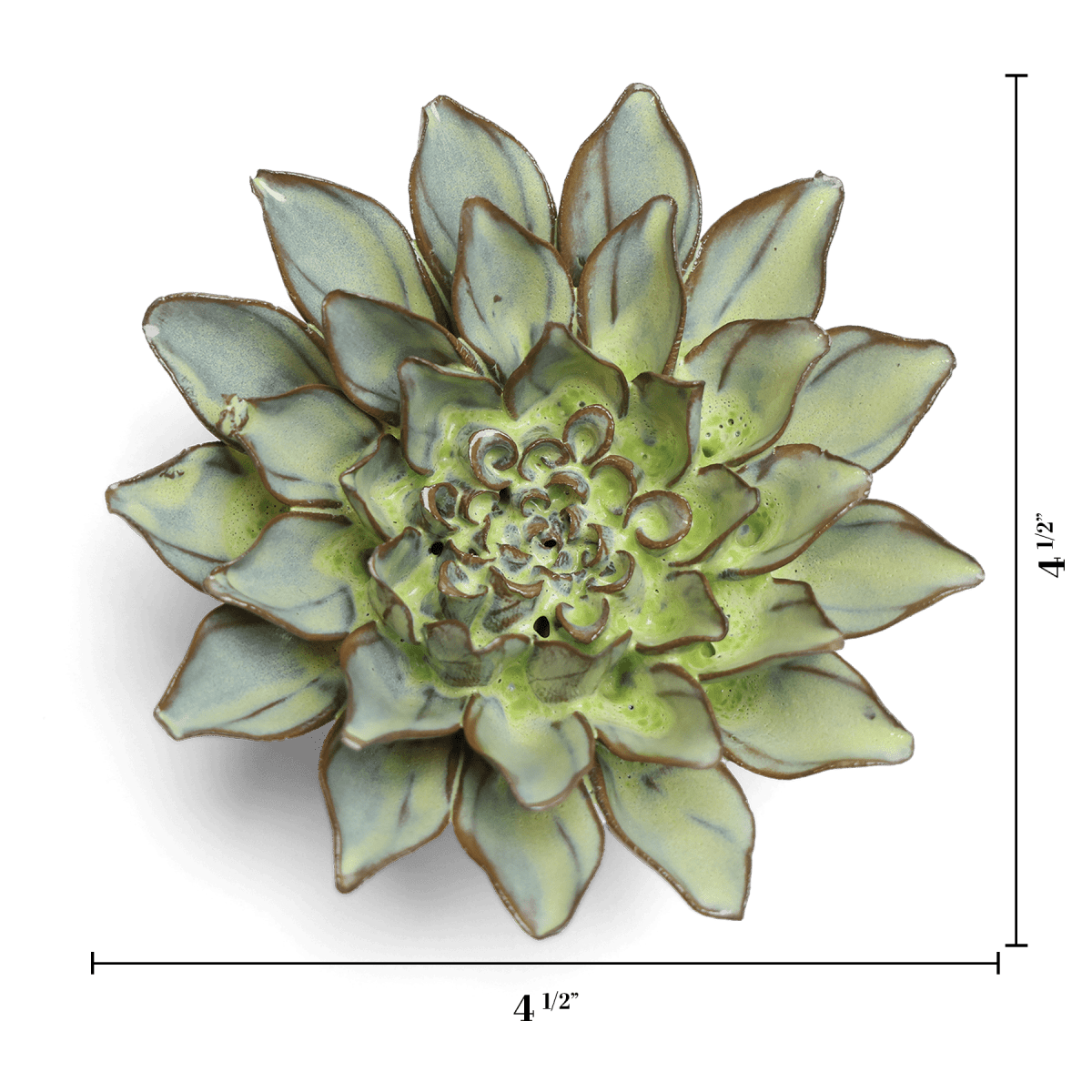 JA06 Pear Green Calico Aster - Chive US Wholesale
