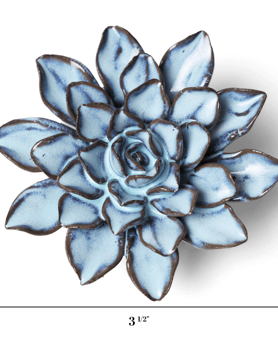 JA07 Seasonal Blue Alpine Aster - Chive US Wholesale