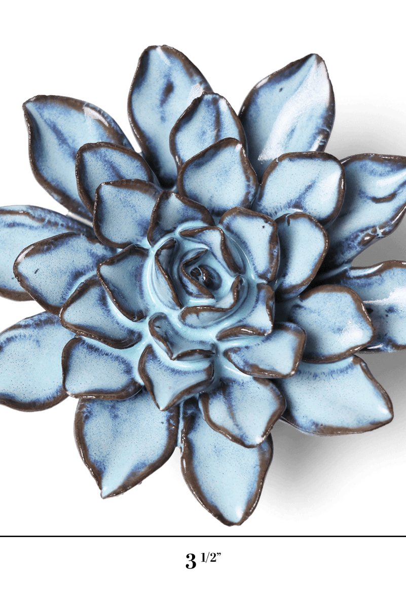 JA07 Seasonal Blue Alpine Aster - Chive US Wholesale