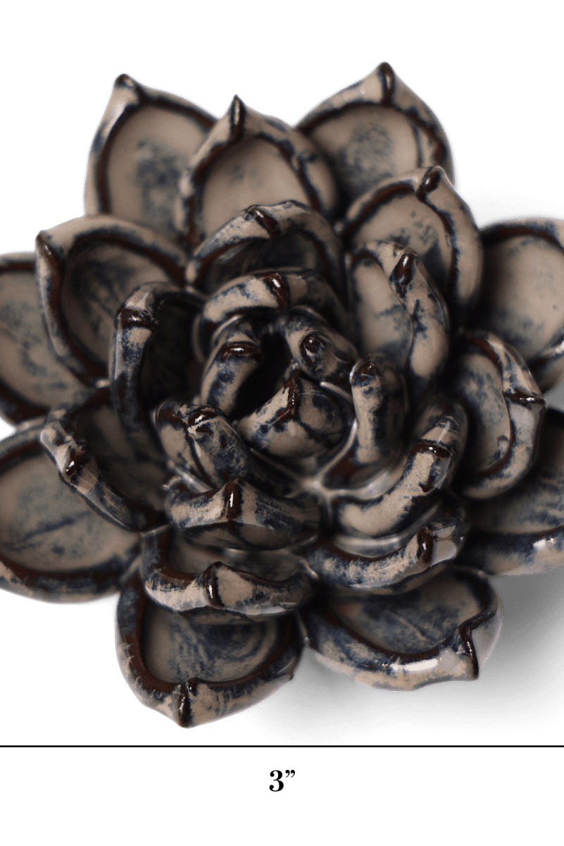 JA08 Latte Lola Echeveria - Chive US Wholesale