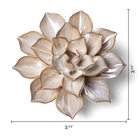 JA09 Metallic Frikartii Aster - Chive US Wholesale