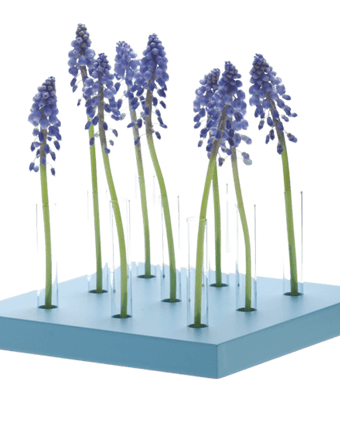 Calla Test Tube Flower Vase - Chive US Wholesale