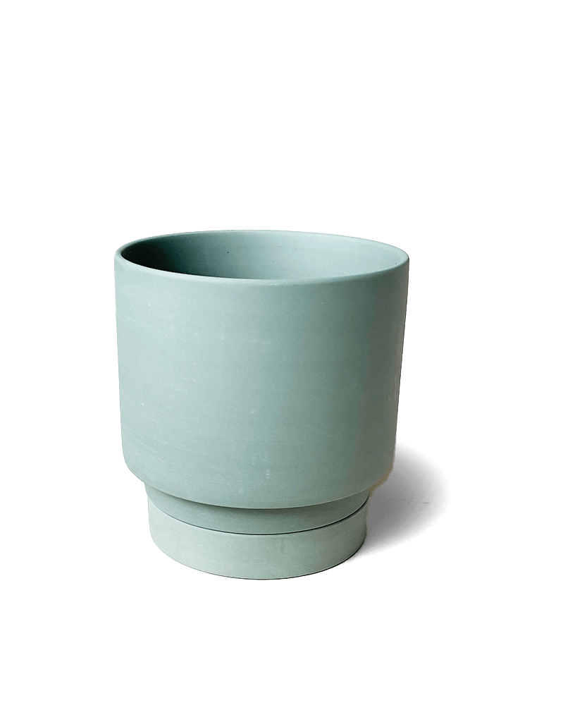 Casey Porcelain Modern Pot And Saucer Set - Chive US Wholesale