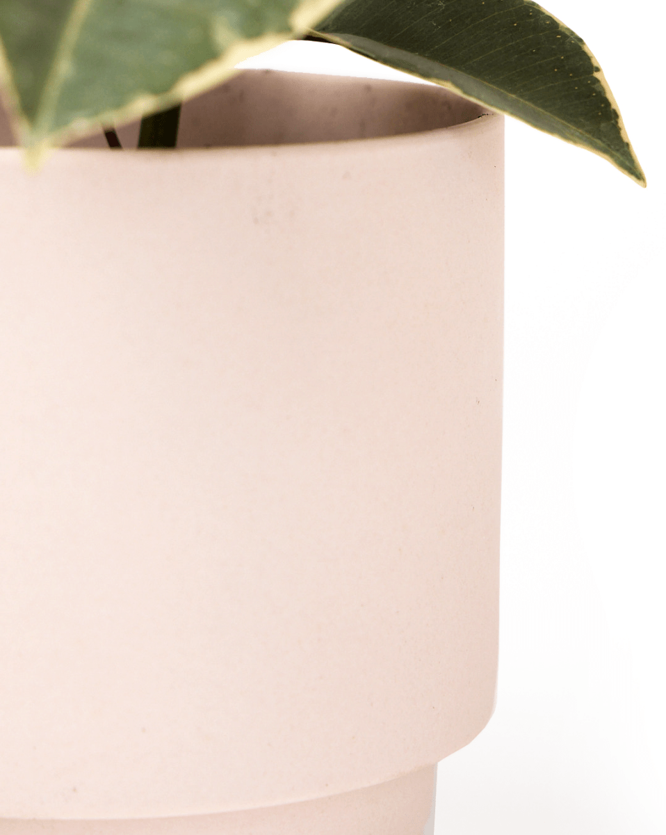 Casey Porcelain Modern Pot And Saucer Set - Chive US Wholesale