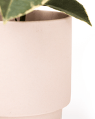 Casey Porcelain Modern Pot And Saucer Set - Chive US Wholesale