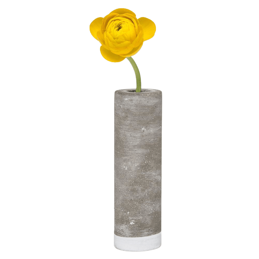 Cement Flower Vase Lined With Glass Tube - Chive US Wholesale