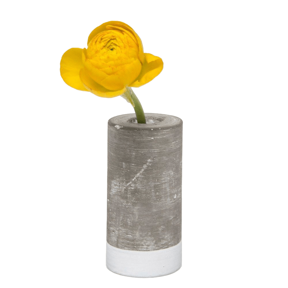 Cement Flower Vase Lined With Glass Tube - Chive US Wholesale