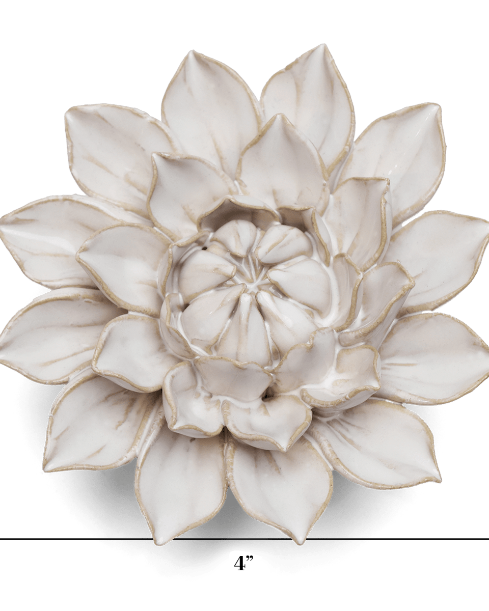 CO01 Ivory Monch Aster - Chive US Wholesale