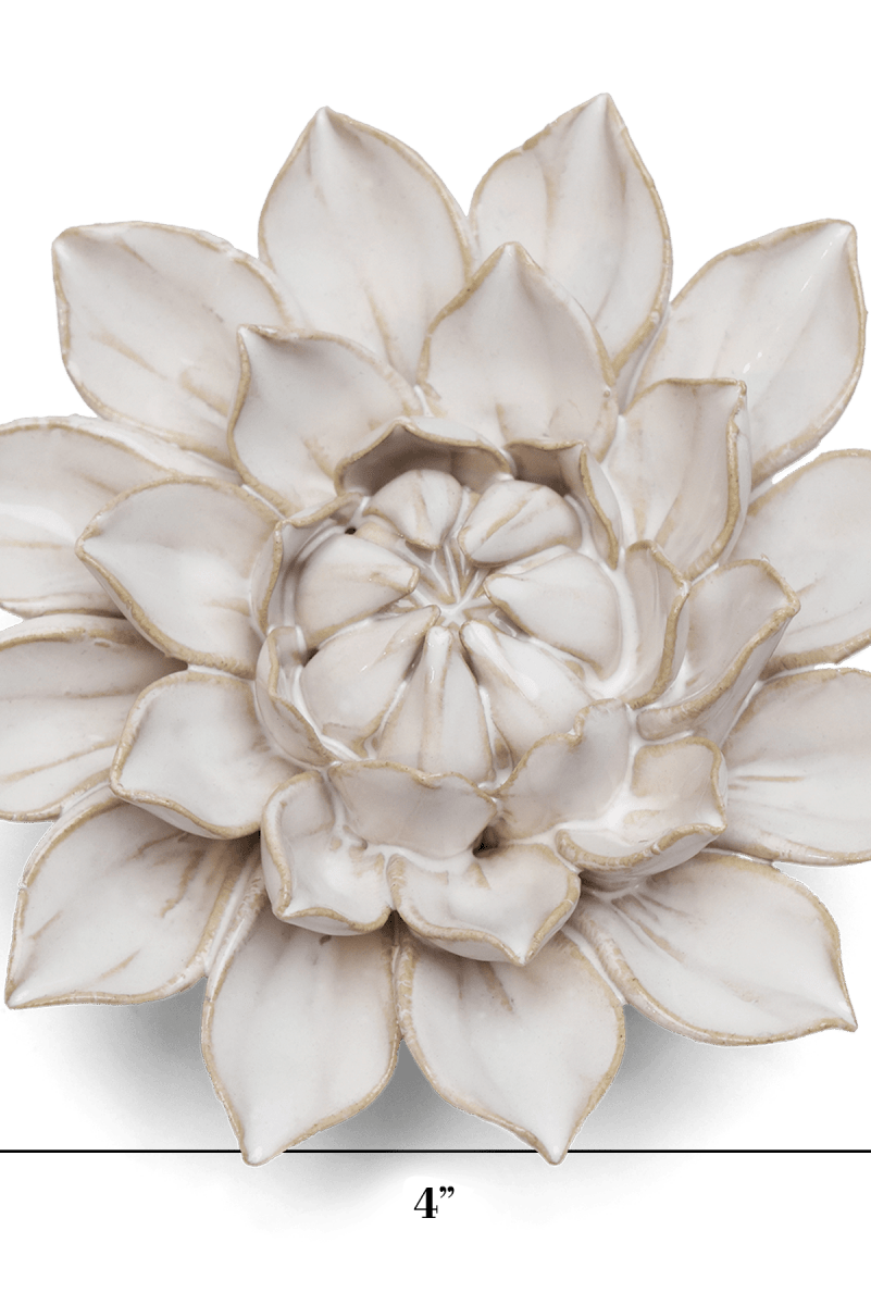 CO01 Ivory Monch Aster - Chive US Wholesale