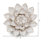CO01 Ivory Monch Aster - Chive US Wholesale