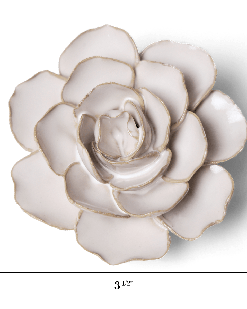 CO08 Ivory Amandine Ranunculus - Chive US Wholesale