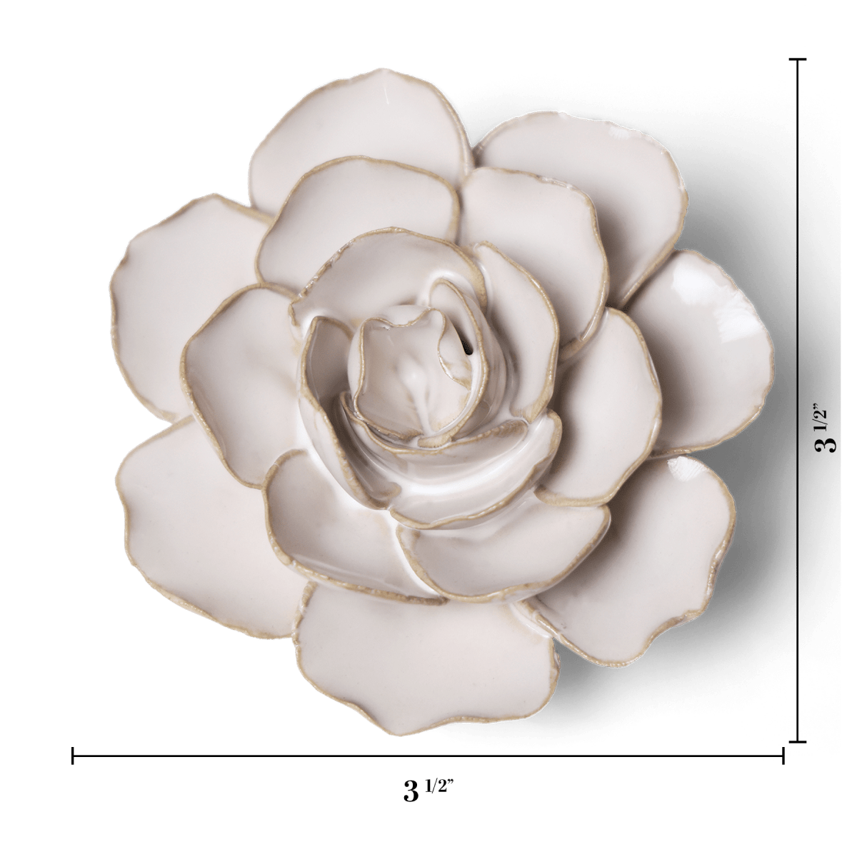 CO08 Ivory Amandine Ranunculus - Chive US Wholesale