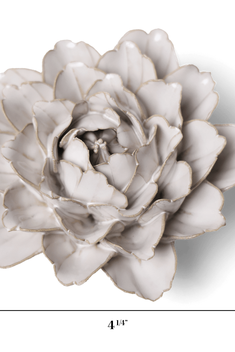 CO05 Ivory Comanche Peony - Chive US Wholesale