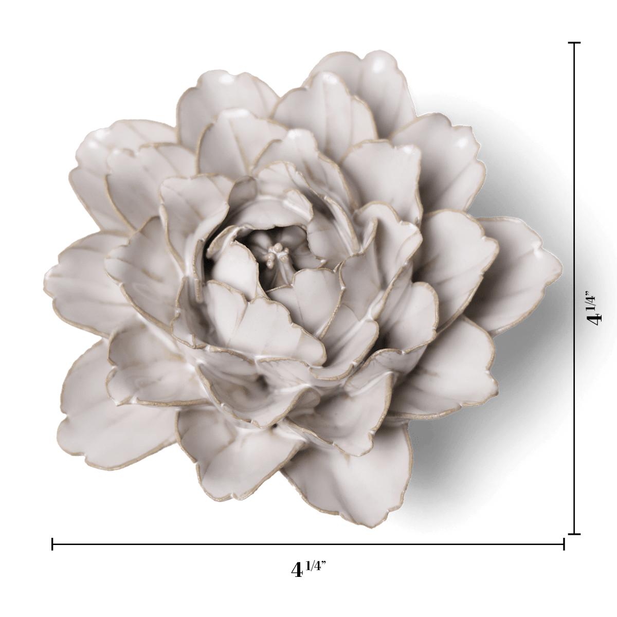 CO05 Ivory Comanche Peony - Chive US Wholesale