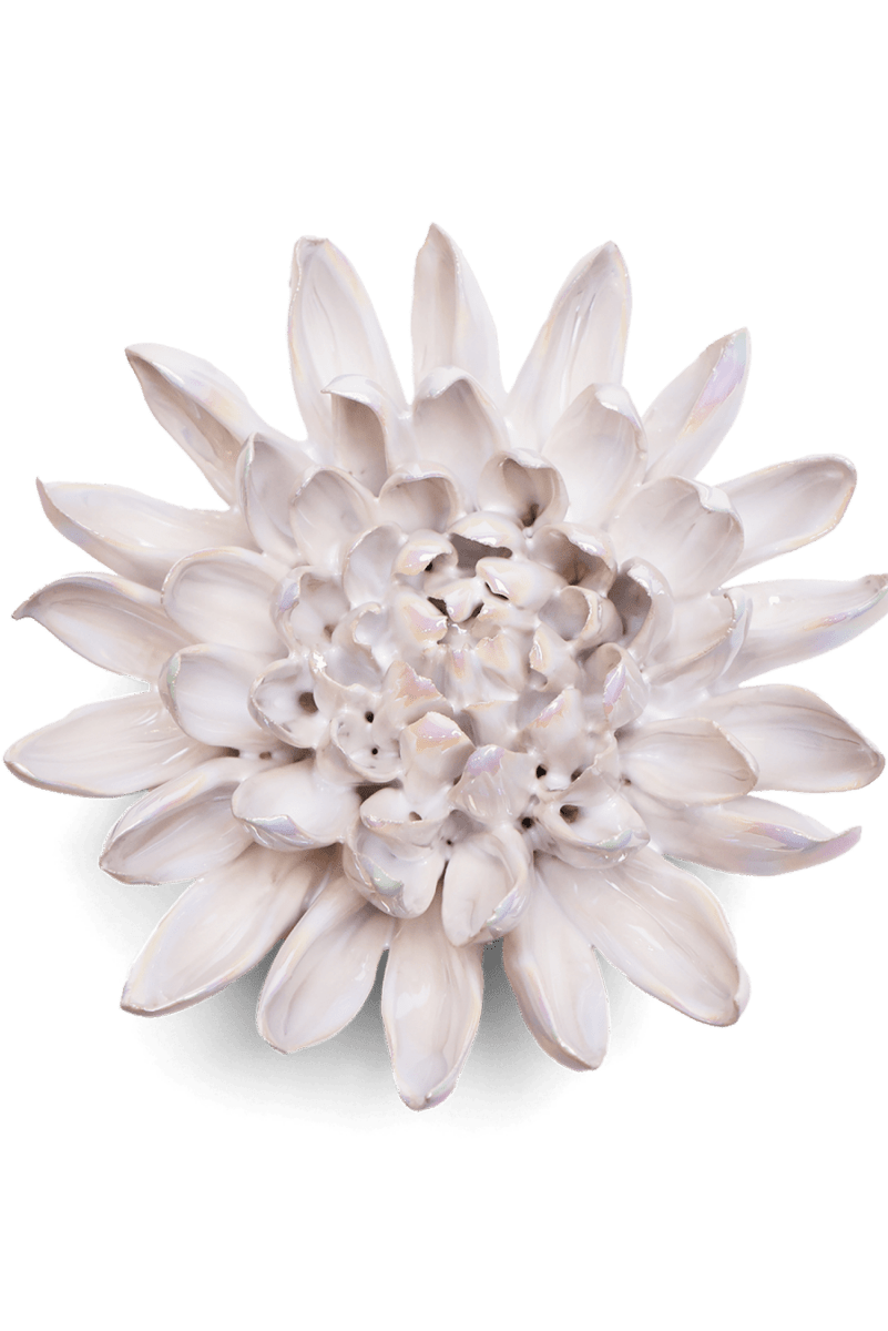 Pearlescent Chrysanthemum - Chive US Wholesale