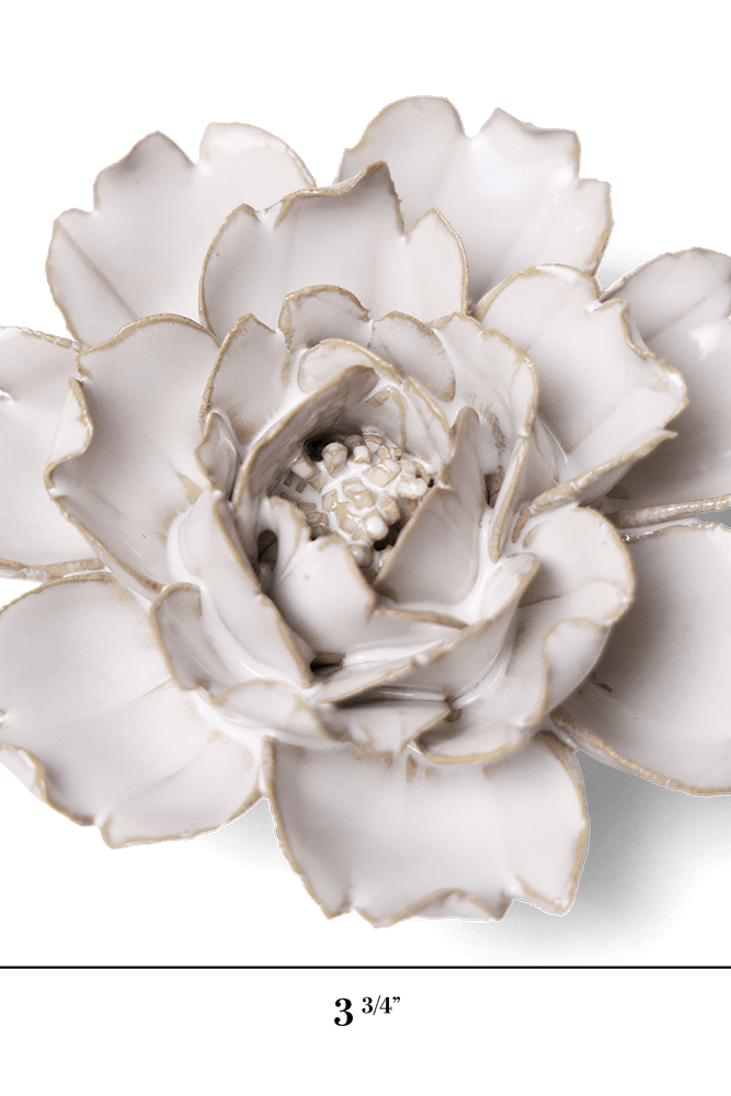 CO03 Ivory Rose - Chive US Wholesale