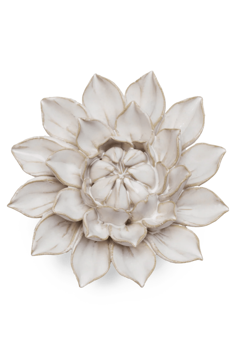 CO01 Ivory Monch Aster - Chive US Wholesale
