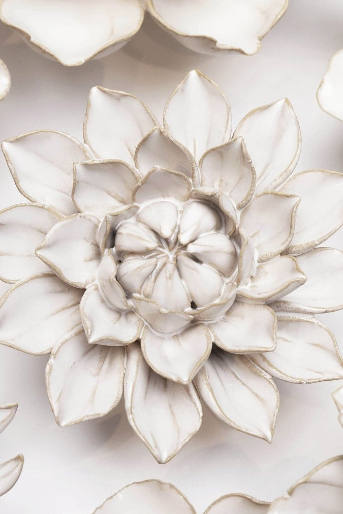 CO01 Ivory Monch Aster - Chive US Wholesale