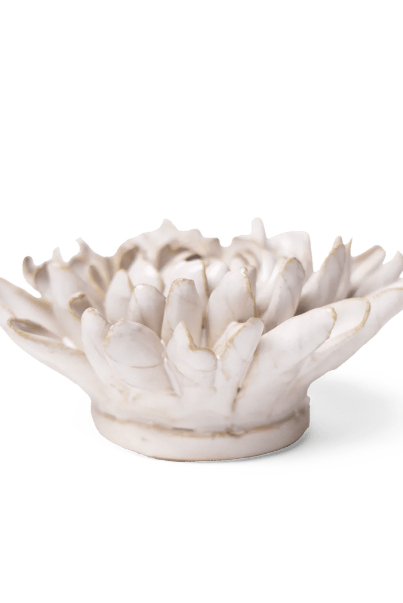 CO02 Ivory Chrysanthemum - Chive US Wholesale
