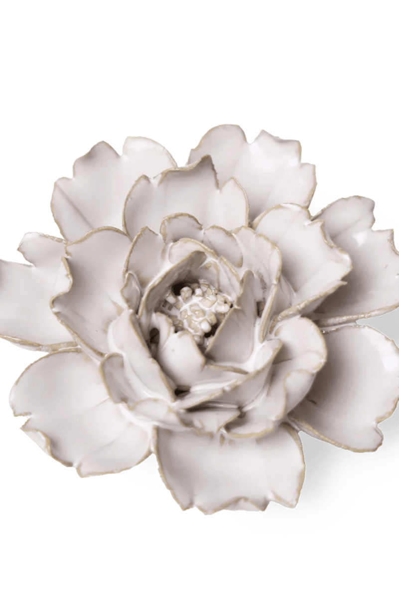 CO03 Ivory Rose - Chive US Wholesale