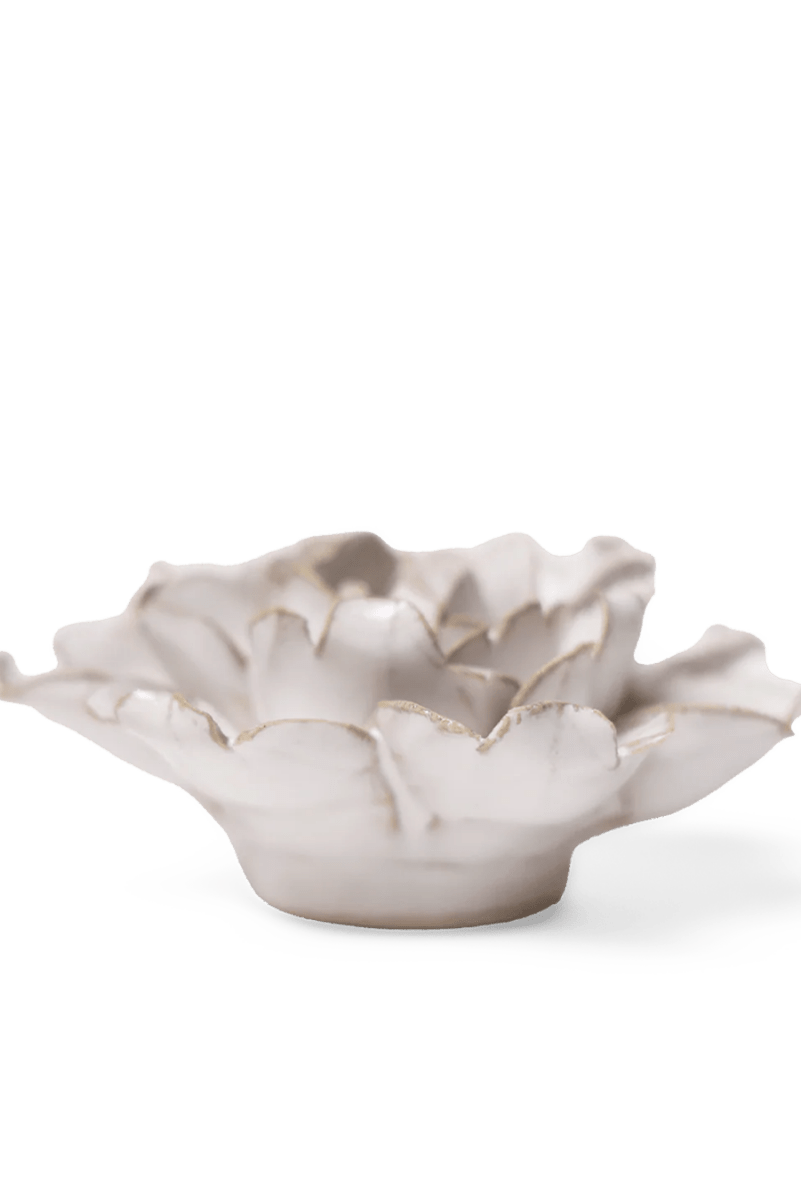 CO03 Ivory Rose - Chive US Wholesale