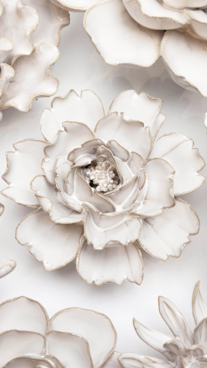 CO03 Ivory Rose - Chive US Wholesale