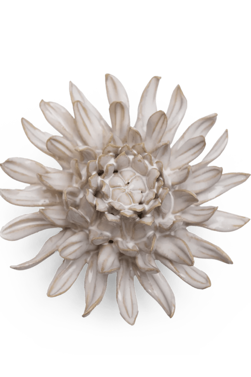 CO04 Ivory Spider Mum - Chive US Wholesale