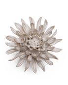 CO04 Ivory Spider Mum - Chive US Wholesale