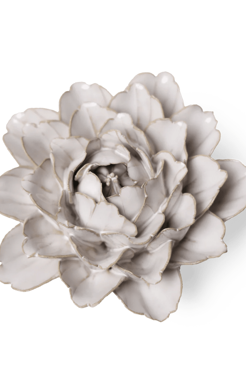 CO05 Ivory Comanche Peony - Chive US Wholesale