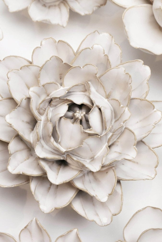 CO05 Ivory Comanche Peony - Chive US Wholesale