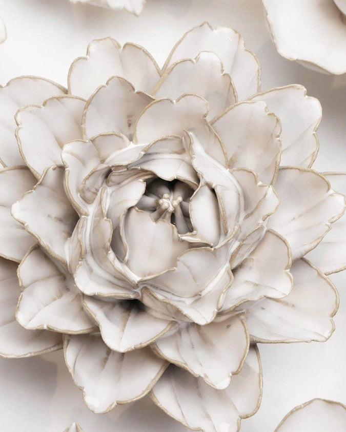 CO05 Ivory Comanche Peony - Chive US Wholesale