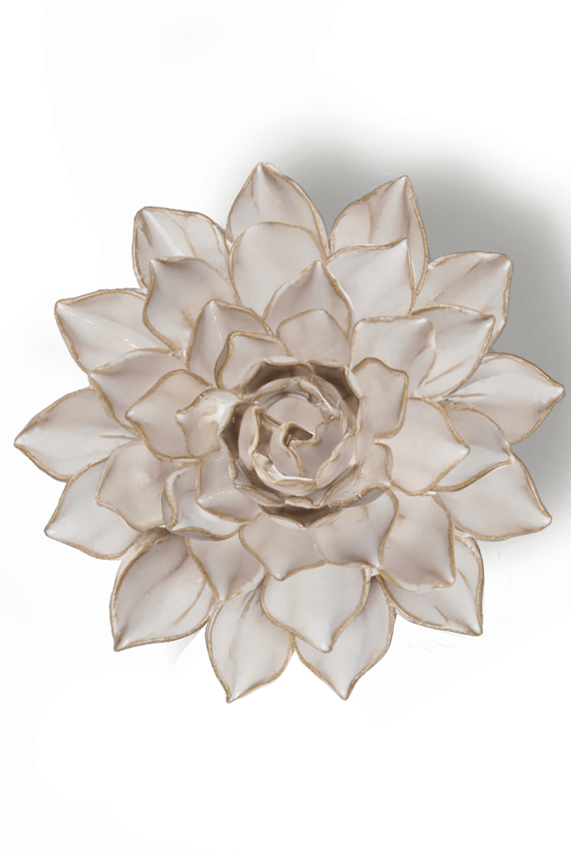 CO06 Ivory Madonna Azalea - Chive US Wholesale