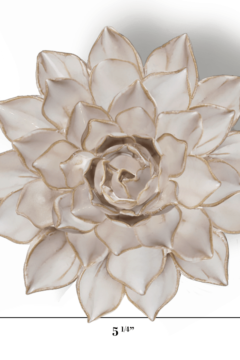 CO06 Ivory Madonna Azalea - Chive US Wholesale