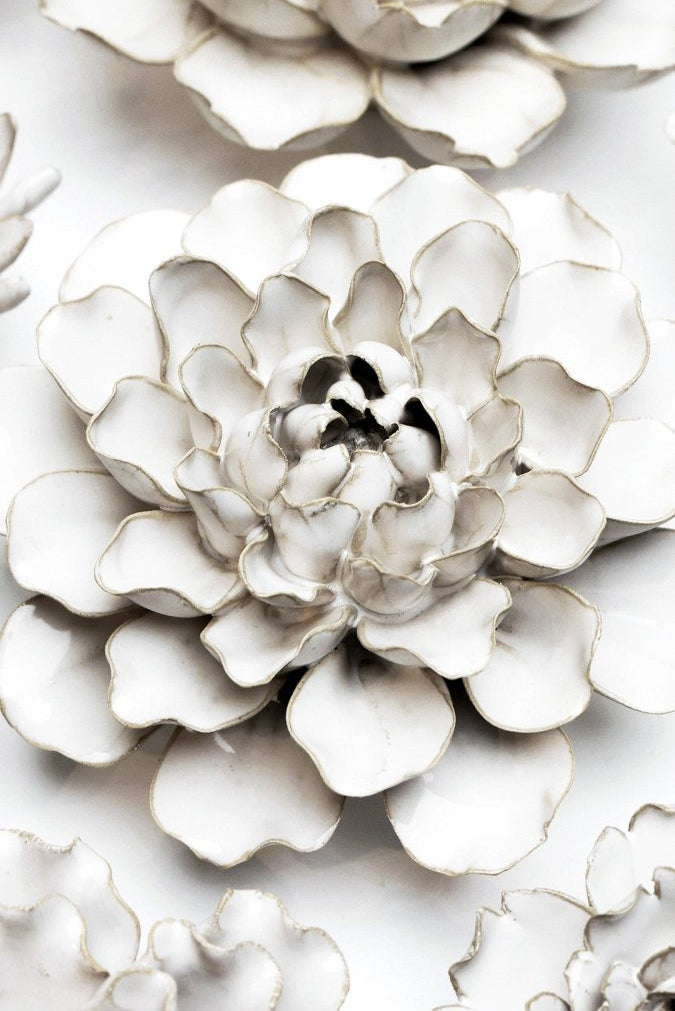 CO06 Ivory Madonna Azalea - Chive US Wholesale