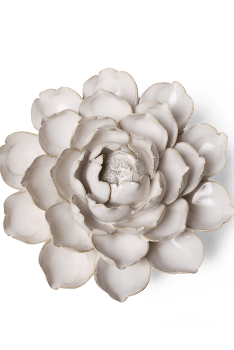 CO07 Ivory Empire Cabbage Flower - Chive US Wholesale