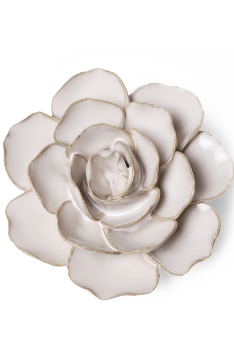 CO08 Ivory Amandine Ranunculus - Chive US Wholesale