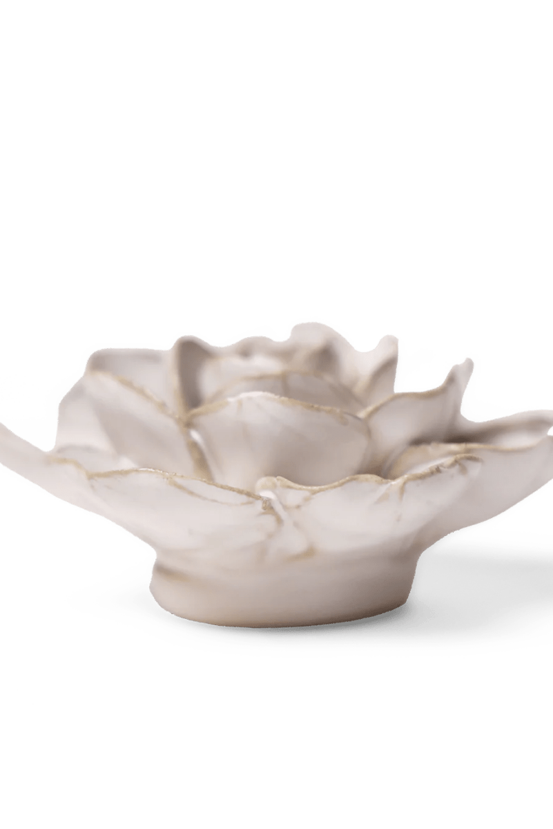 CO08 Ivory Amandine Ranunculus - Chive US Wholesale