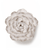 CO09 Ivory Keiko Peony - Chive US Wholesale