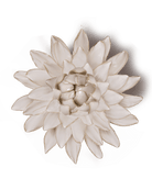 CO10 Ivory Strawflower - Chive US Wholesale