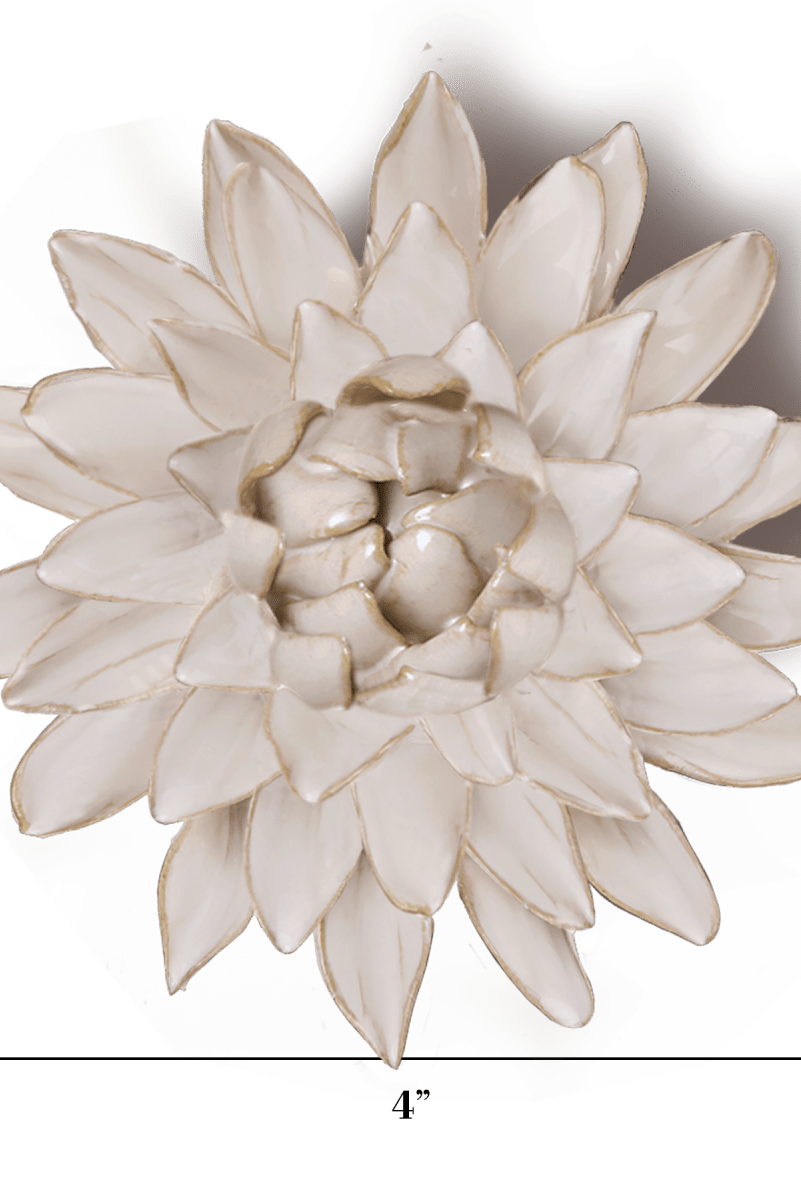 CO10 Ivory Strawflower - Chive US Wholesale